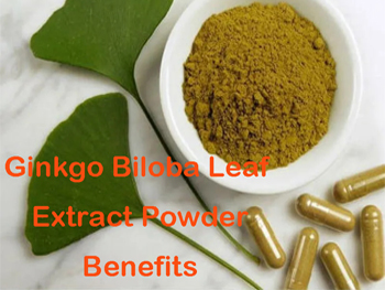What Are The Benefits Of Ginkgo Biloba Extract